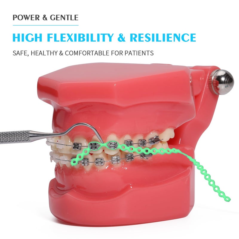 ANNWAH Dental Colorful Orthodontic Braces Rubber Chains,Dental Rubber Chains for Braces Power Chains for Orthodontic Treatment(Long,Green 14) - Image 1